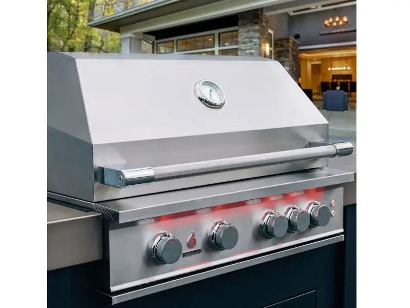 TrueFlame 32-Inch 4-Burner Built-In Grill with Rear Infrared Burner and Grill Lights Designing Backyards
