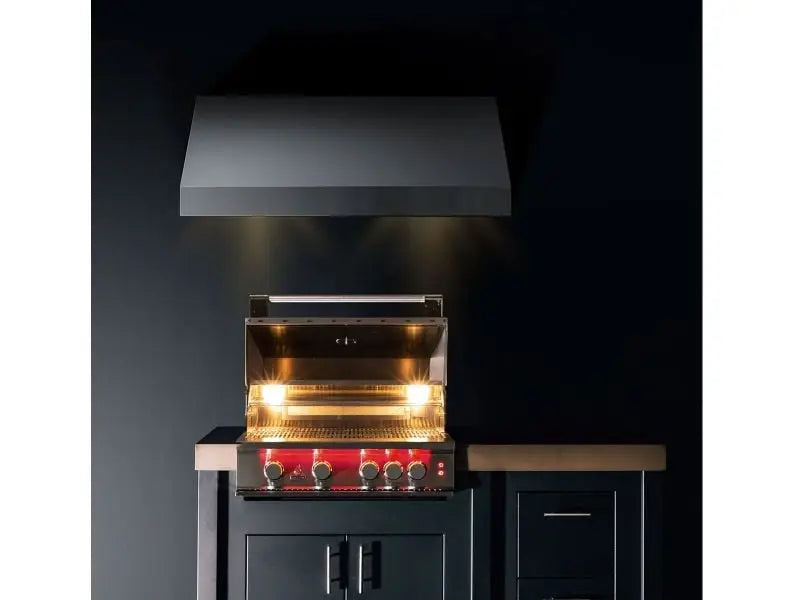 TrueFlame 32-Inch 4-Burner Built-In Grill with Rear Infrared Burner and Grill Lights Designing Backyards